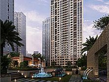 ���\(y��n)�ӿ�ȸ��