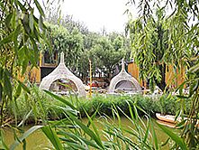 ܰ����KIDULT����\�Ә��@�w��^